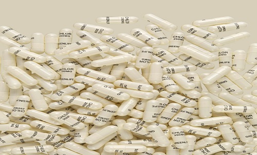 Qual è la conoscenza delle capsule cave di gelatina medicinale?